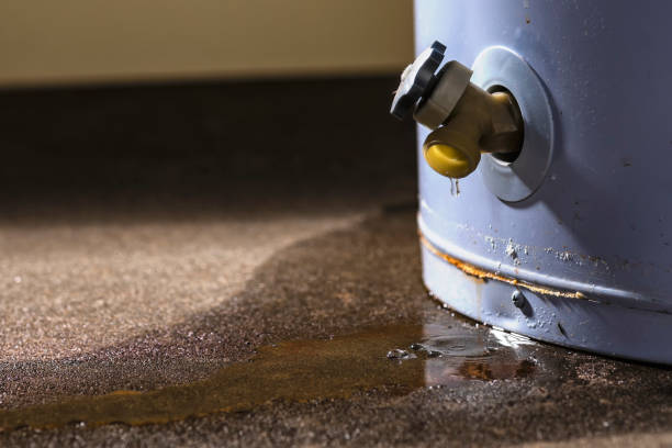 Best Professional water damage repair  in Whitaker, PA