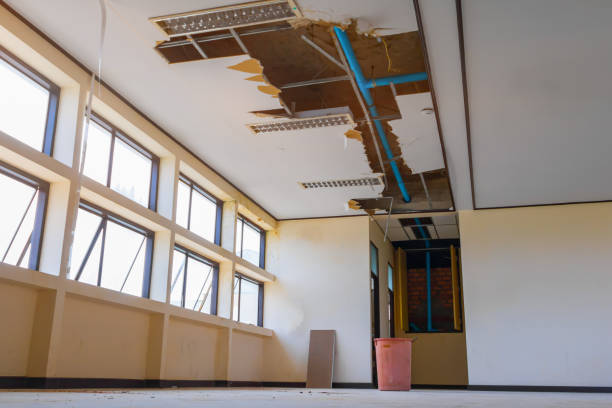 Best Local water damage restoration  in Whitaker, PA