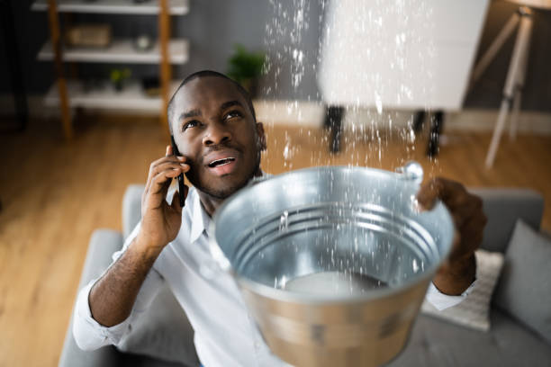  Whitaker, PA Water damage restoration Pros