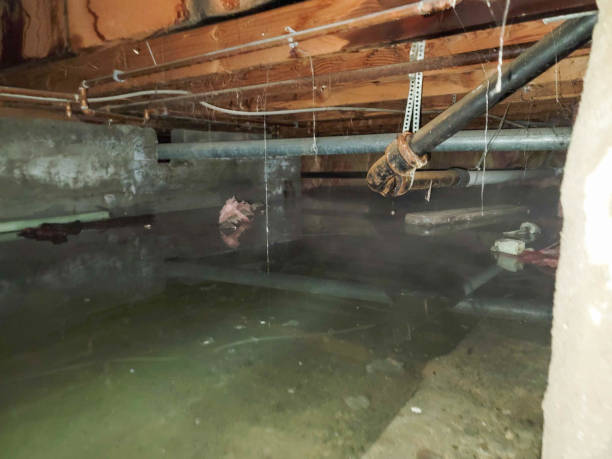 Best Ceiling water damage repair  in Whitaker, PA