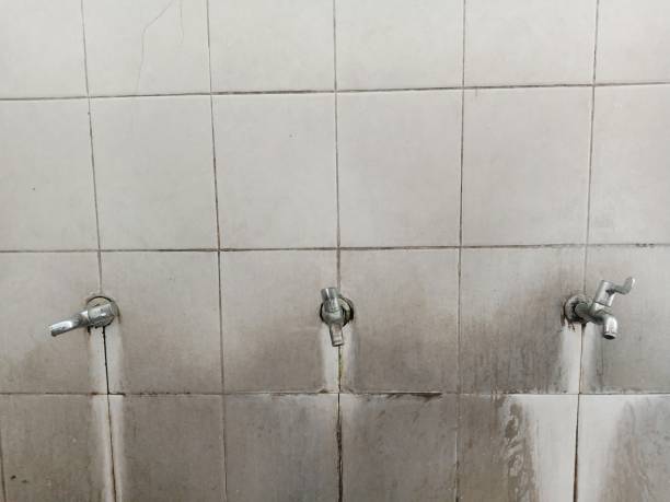 Best Residential water damage restoration  in Whitaker, PA