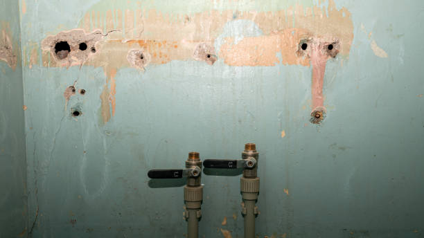 Best Mold removal after water damage  in Whitaker, PA