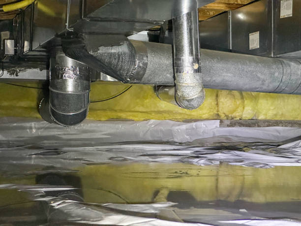 Best Sewage cleanup and water damage restoration  in Whitaker, PA